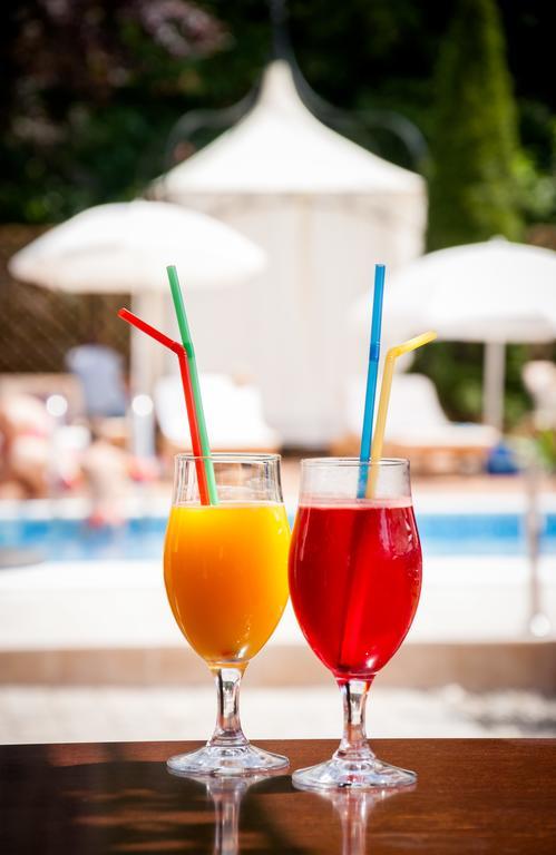 Hotel Aleksandar Vrnjačka Banja Zewnętrze zdjęcie